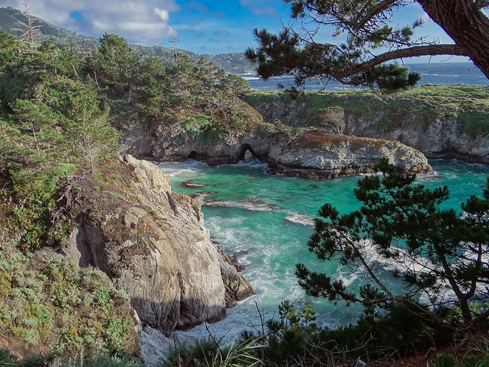 An ocean cove is surrounded by rocky shorelines with low brush and plants growing atop them.