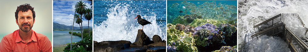 left to right: Dr. Alex Wegmann poses for a photo, palm trees near a bay, a wave crashes behind a black seabird, fish swim around vibrant corals, waves crash on a wooden staircase 