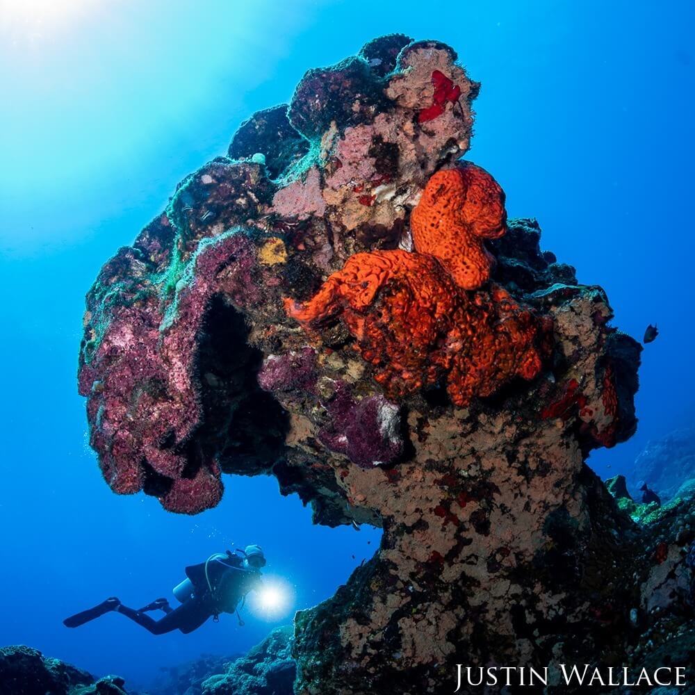 A diver swimming behind a large, eroded reef outcropping covered in colorful sponges
