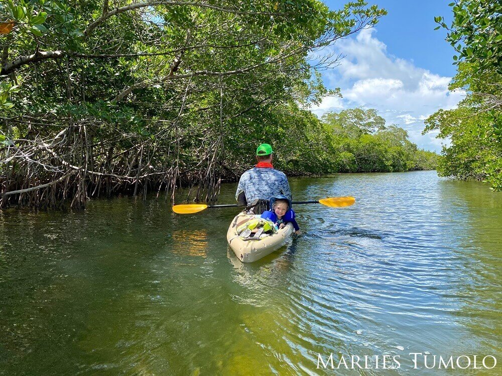 A father and daughter are seen kyaking through the mangroves.