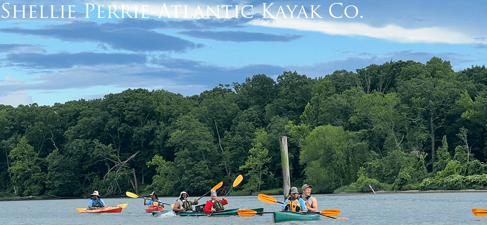 Receational kayakers are seen paddlng along a river flanked with large trees and greenery on the banks.