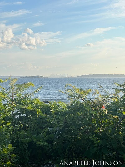 The bottom of the image is lined by shrubbery and the image shows a view across the Atlantic Ocean. Across the water you can see the outline of Boston.