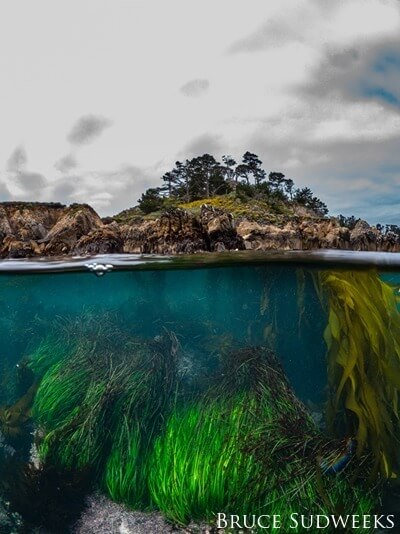Over under shot of the land and sea of Monterey Bay National Marine Sanctuary.