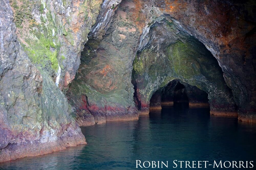 Painted cave in Channel Islands National Marine Sanctuary.