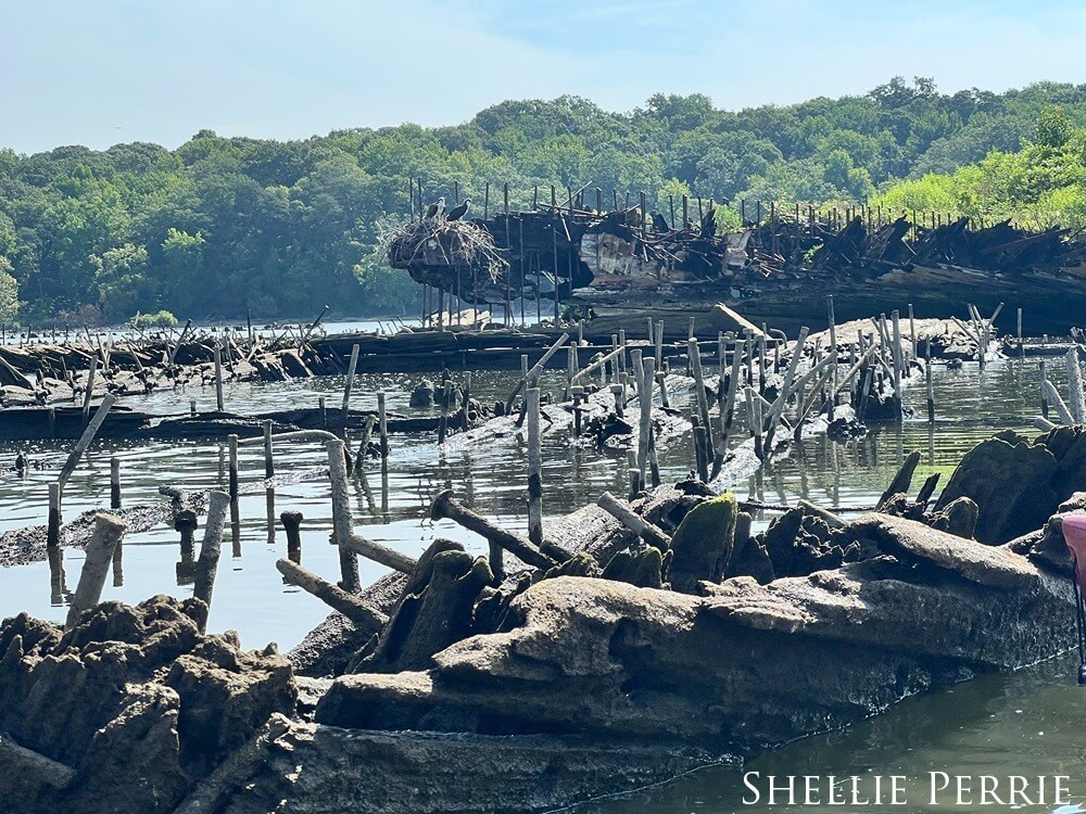 Low tide where shipwrecks can be seen above the river.