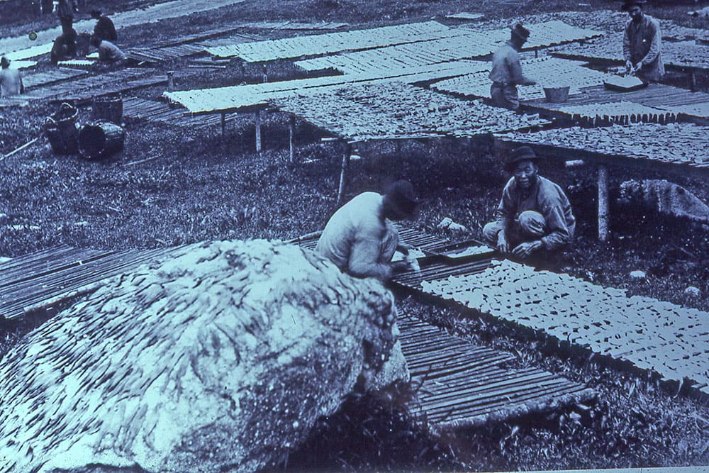 two people squatting in a field with racks covered in drying squid and other workers standing in the background around more racks loaded with squid