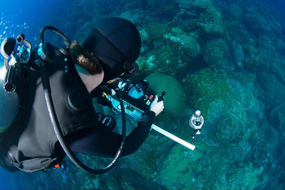 Top view of diver in full scuba gear bent over holding an underwater camera over a coral reef structure