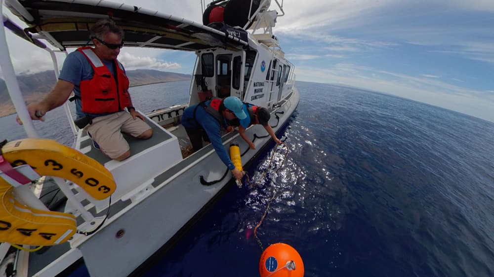 researchers release a large orange ball with rope attached to it from the side of a research vessel
