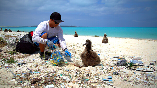 From left to right: Male in white long sleeve, black hat, and black sunglasses collecting discarded fishing nets near by brown seabird on beach covered in marine debris. 