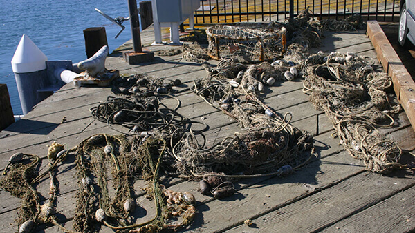 marine debris on a dock