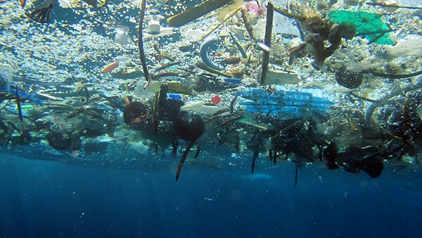 marine debris floating on the surface of water
