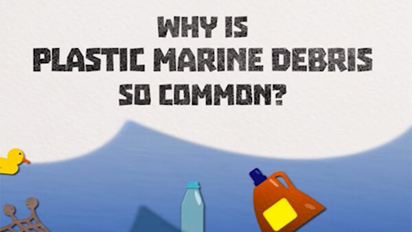 Graphic reading “WHY IS PLASTIC MARINE DEBRIS SO COMMON?” in black writing, water and plastic debris.