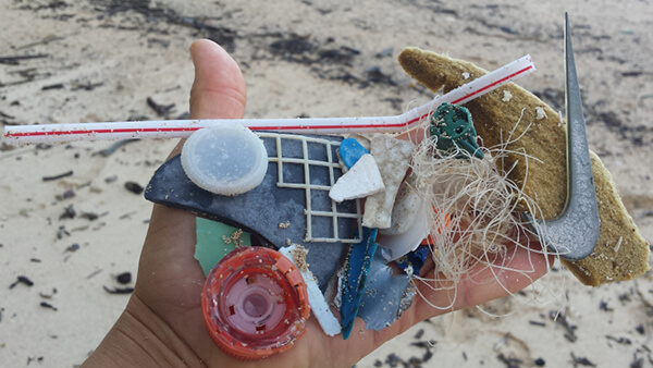 Handful of plastic debris found on beach including bottle campus, straw, fishing line, and other marine debris.
				
