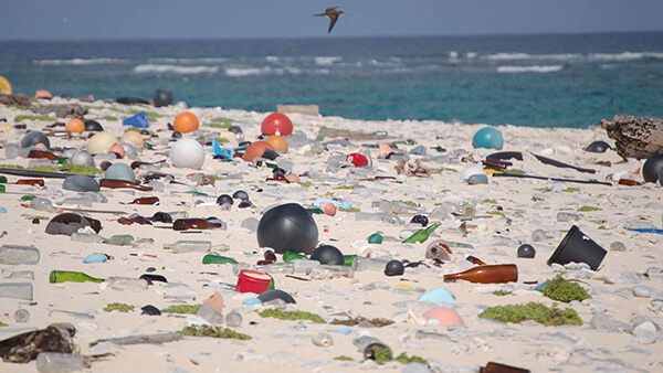 Beach covered in marine debris varying in color and size.