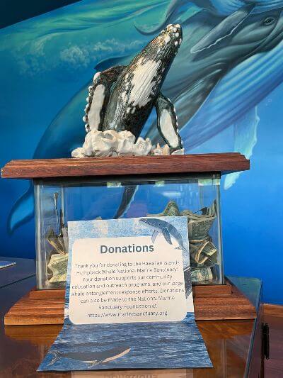 The donation box at Hawaiian Islands Humpback Whale National Marine Sanctuary