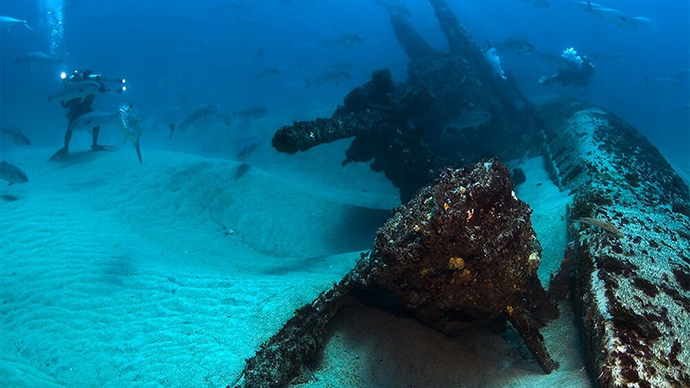 A German u-boat wreck, with divers in the background and fish swimming around the wreck.