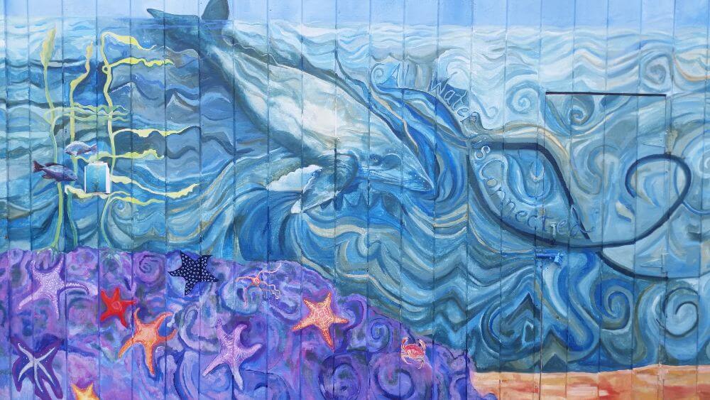One of Joaquin Miller Elementary’s campus murals, featuring an underwater landscape
                            with the quote “All water is connected.”