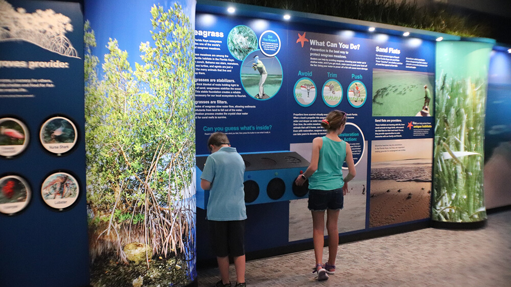 two people looking at a seagrass exhibit