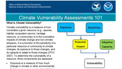 Text-filled page of a document with the title “Climate Vulnerability Assessments 101,” it has the NOAA and Office of National Marine Sanctuaries logos in the upper right hand corner and images of bleached coral and a flow chart explaining vulnerability.