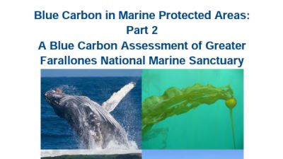 Cover of Blue Carbon in Marine Protected Areas: Part 2, including images of whales, kelp, seagrass, and the coast.