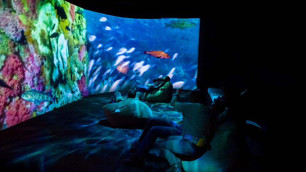 People sit in a room with a large screen showing sea life