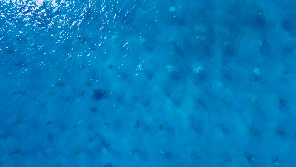 An overhead image of the ocean with objects in rows visible below the surface.