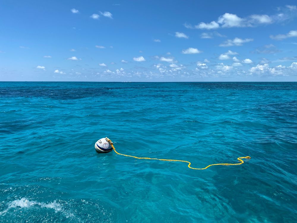 Photo of a Mooring buoy that has a long yellow line with an eye loop at the end
