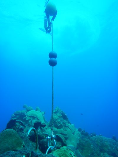 subsurface buoys