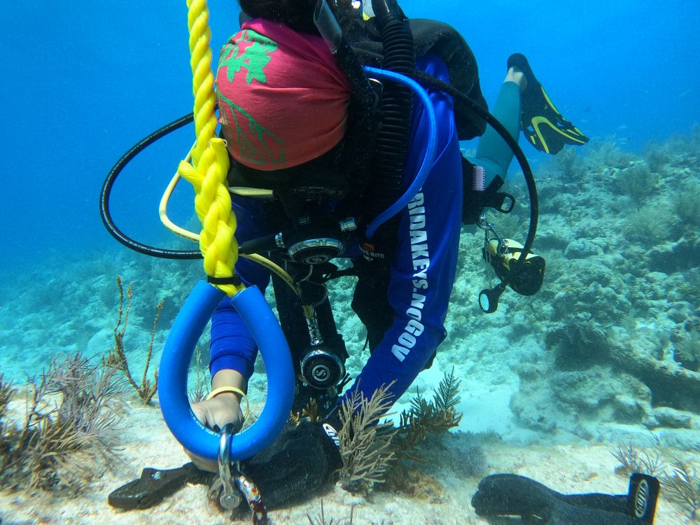 A diver replaces the downline for a buoy at Sand Island in Florida Keys National Marine Sanctuary.