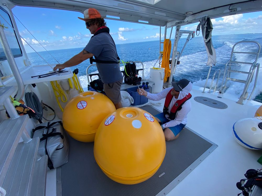 Photo of yellow buoys