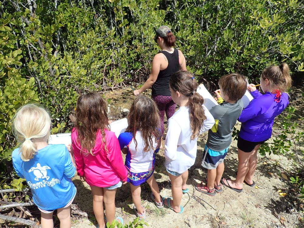 Ocean Studies Charter School students use clipboards to record observations while participating in a
                            mangrove restoration project.