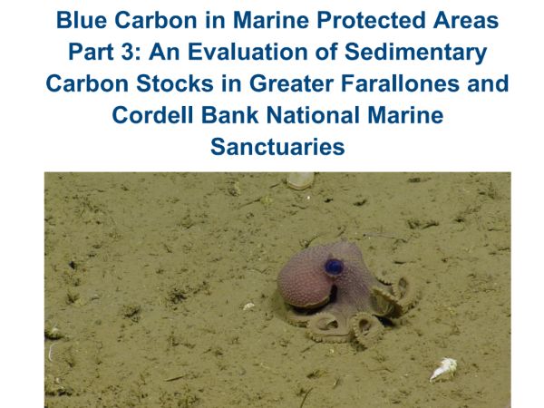 Cover of Blue Carbon in Marine Protected Areas: Part 3