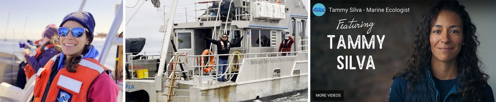 Left to Right: A female scientist on a boat; a Latino male on a research vessel; and a close-up of female scientist, Dr. Tammy Silva.