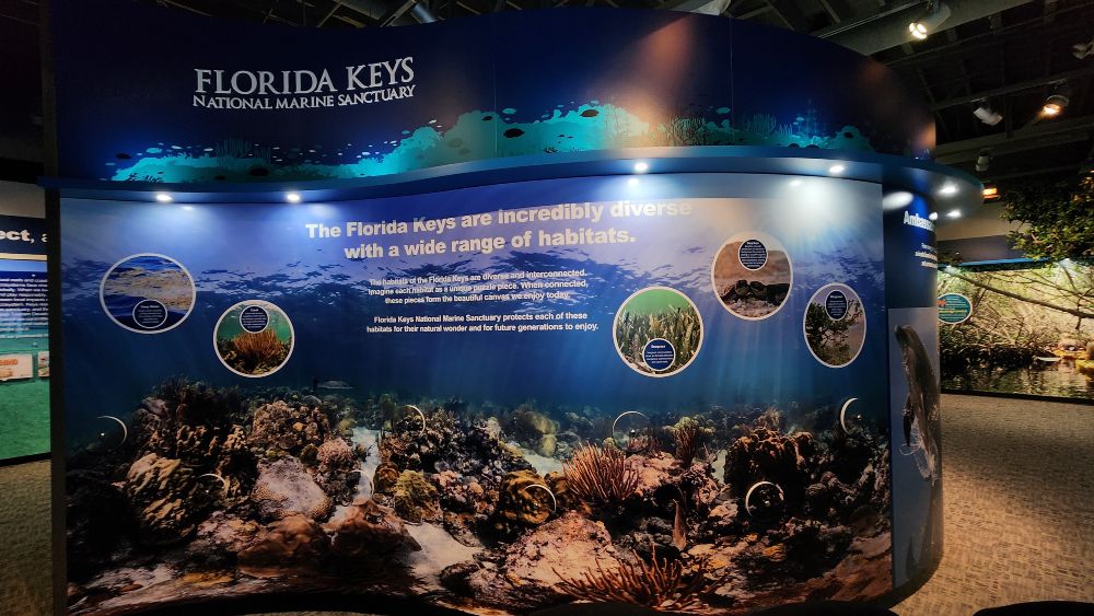 an exhibit panel with a large image of a coral reef