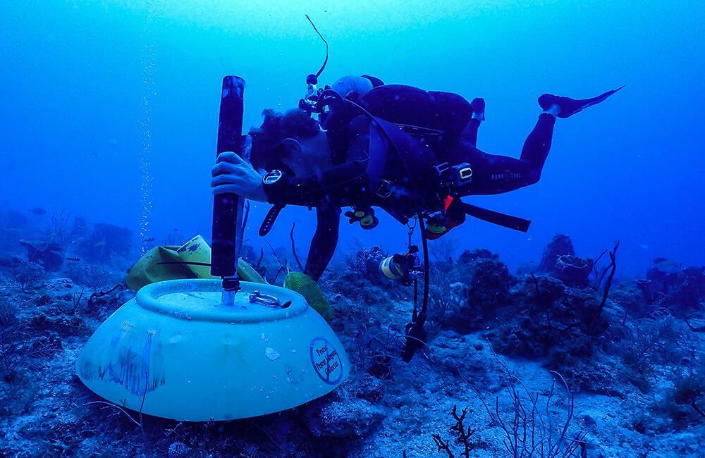 diver attaching a sound recorder to a bouy