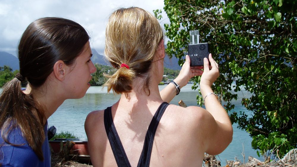 two young people look at a water sample in test tubes while standing on a tropical shoreline