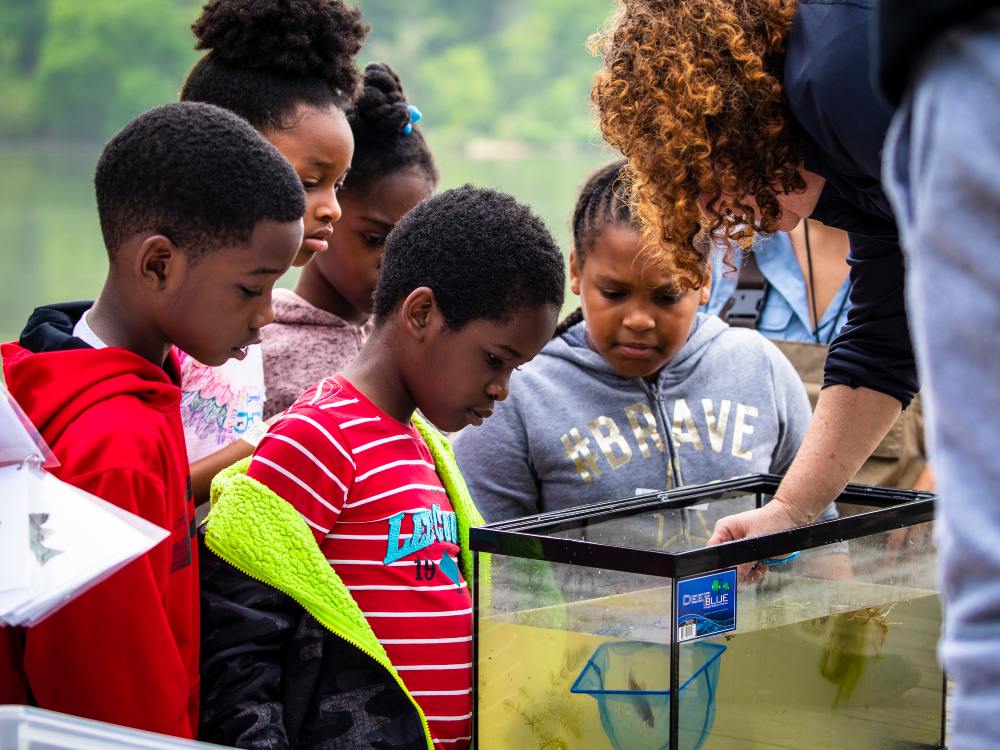 A group of children observe a fish tank while a volunteer uses a net to collect a fish, and another volunteer flips through a fish identification guide beside them.