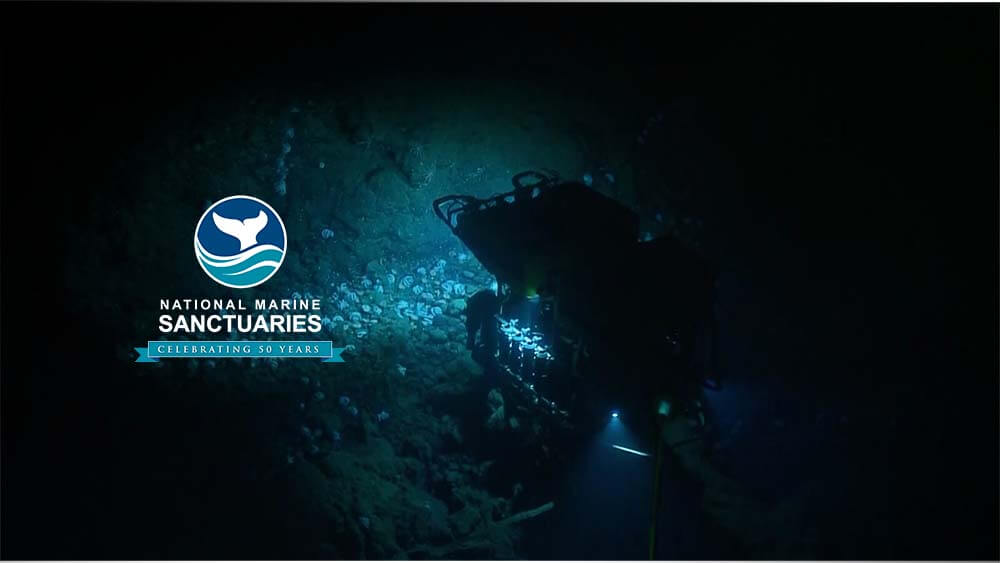 an underwater robot shines light on an underwater seamount with marine life on it
