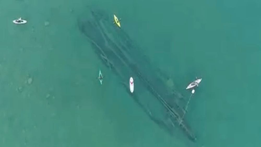 Aerial image of kayakers exploring a shipwreck.