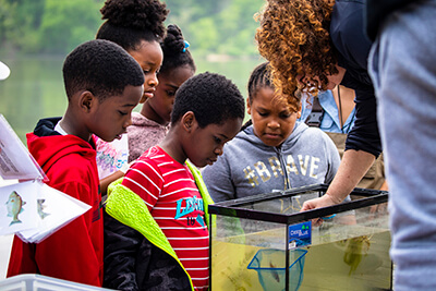 Students Elementary School learn about different fish species