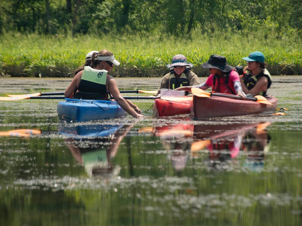 A group of individuals in single-person kayaks gather closely together as they examine the submerged aquatic vegetation (SAV) beneath them.