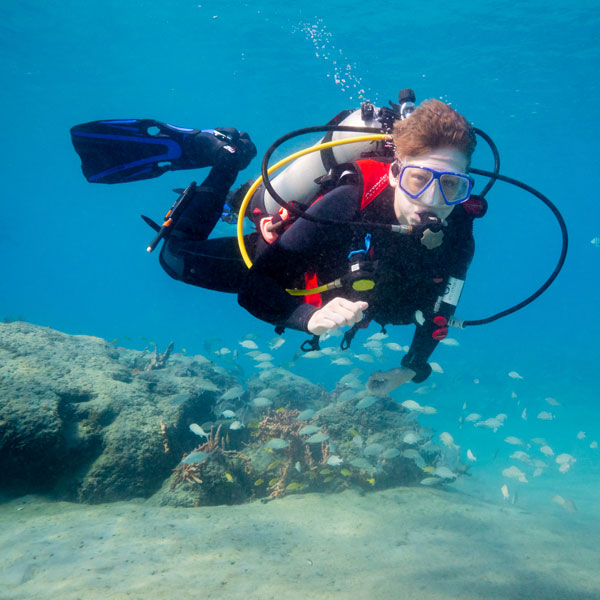 A SCUBA diver floats over a small school of fish.