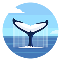 whale watching badge