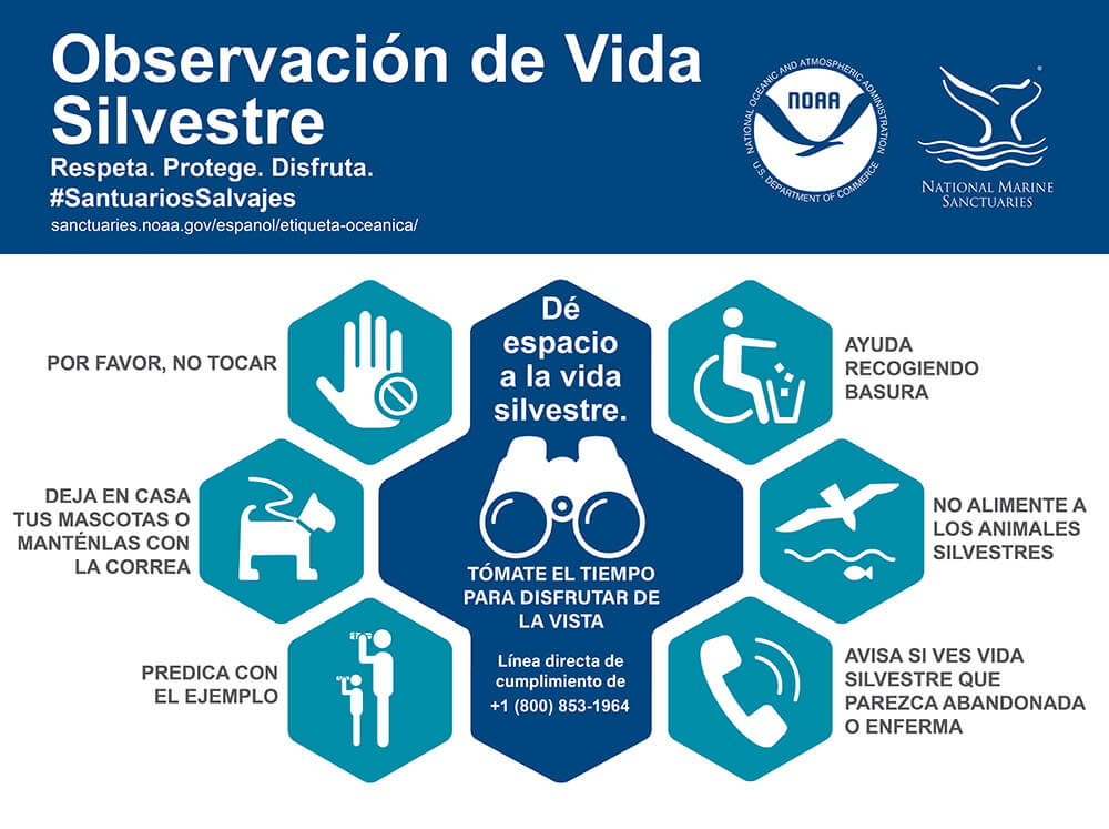 wildlife viewing guidelines in spanish