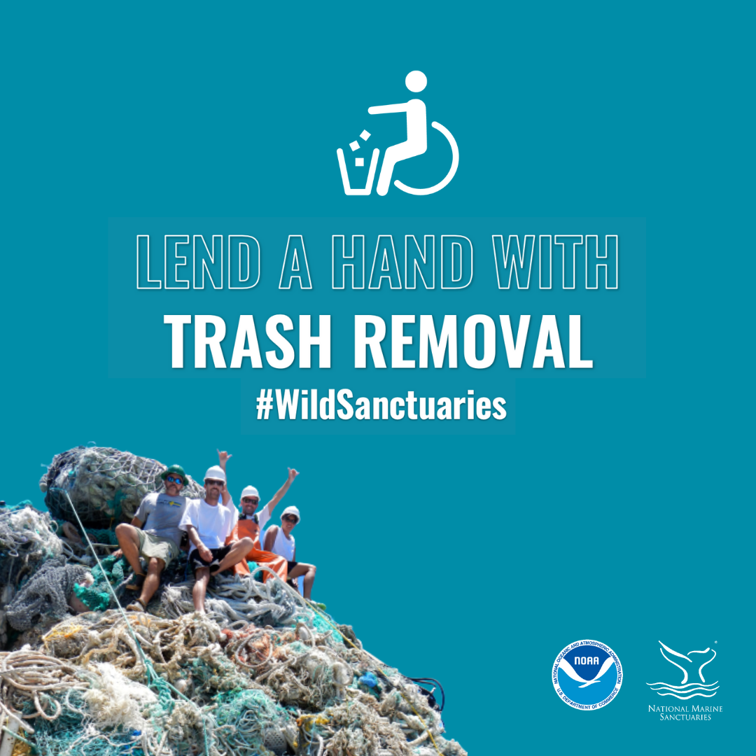 lend a hand with trash removal graphic