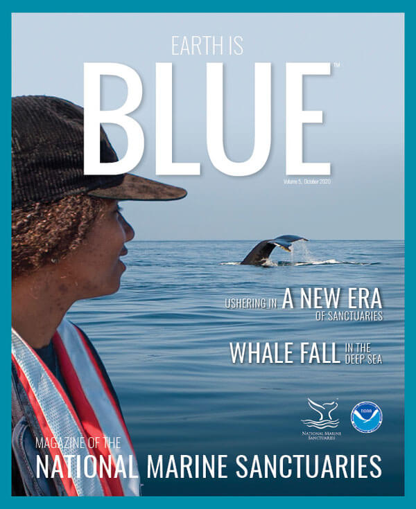 earth is blue magazine volume 5 cover - a person looks out over the water at a whale tail