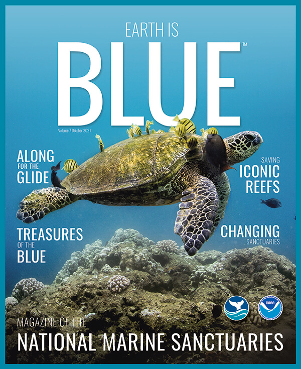 earth is blue magazine volume 6 cover - a sea turtle surrounded by yellow fish
