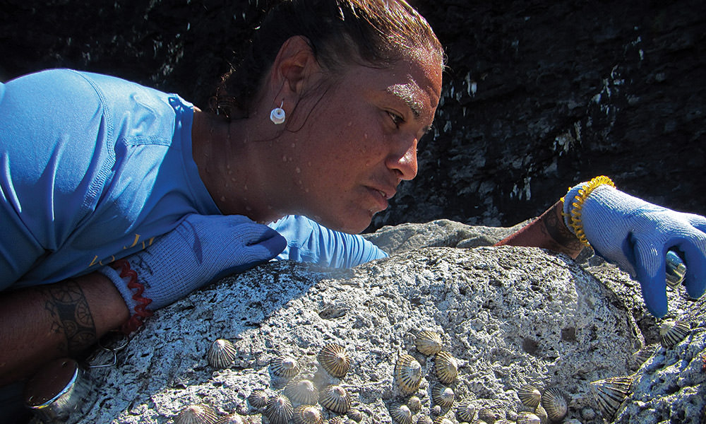women examining a rock with many opihi attached
