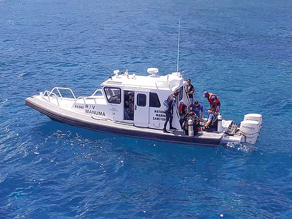 divers preparing to dive off a boat
