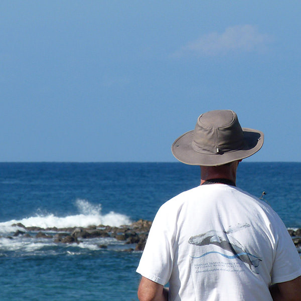 A volunteer observes whales from the shore
